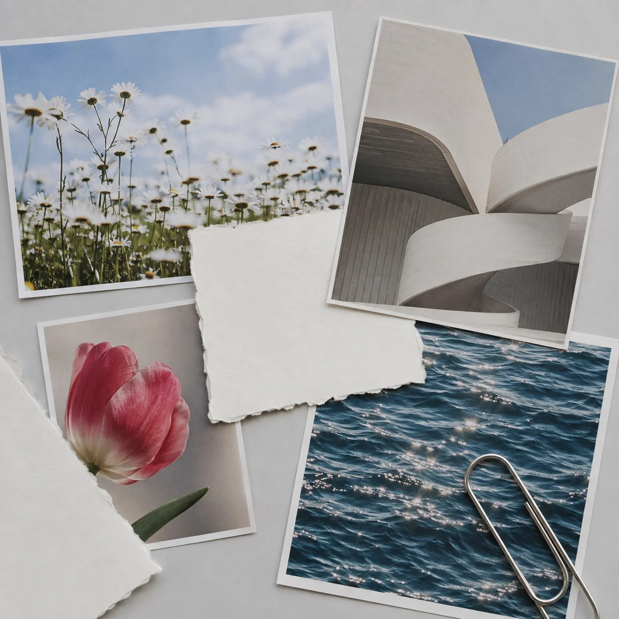 A collection of photographs, paper, and small inspirations
