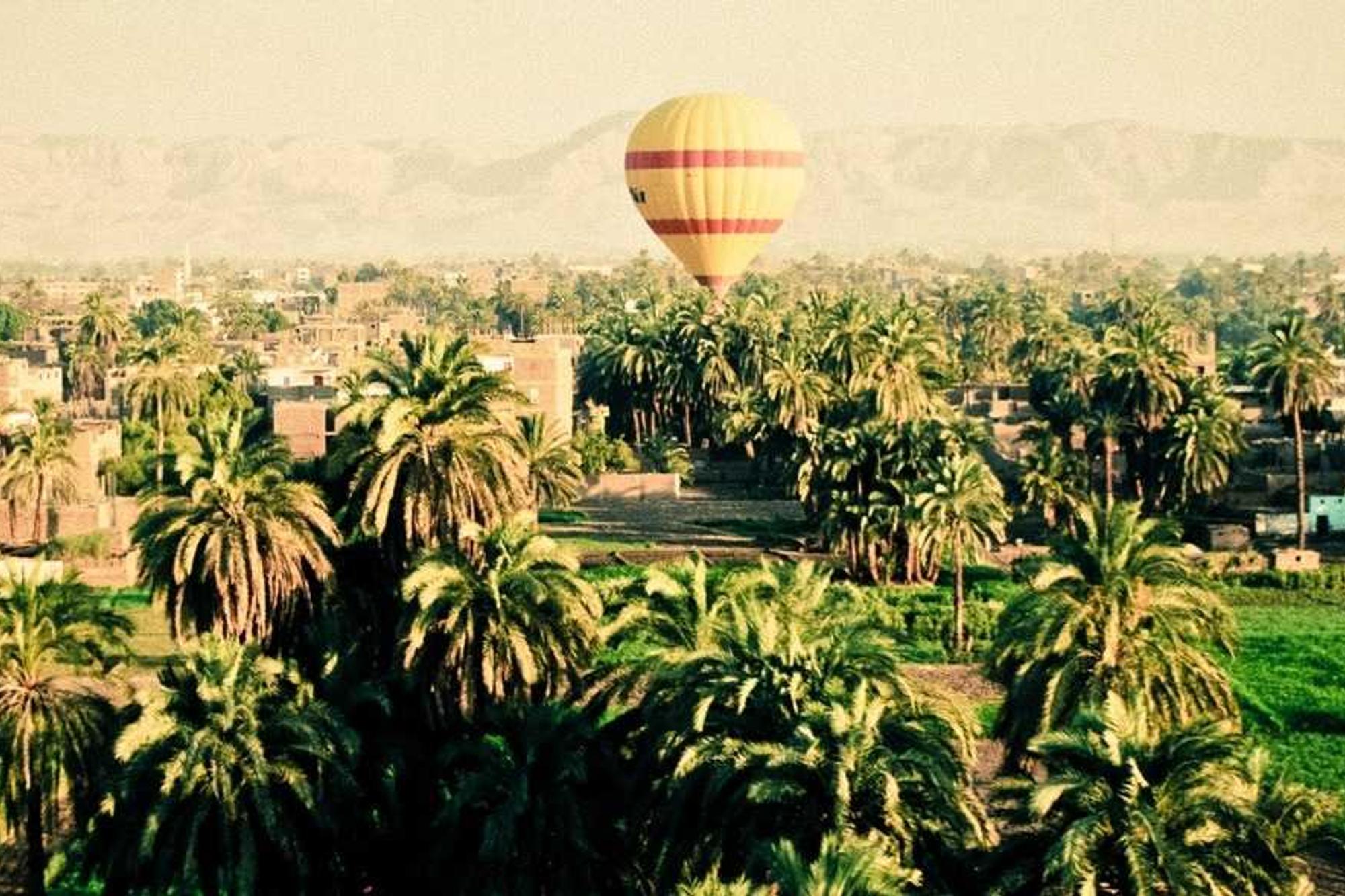 A hot air balloon rising over green palm trees in warm haze