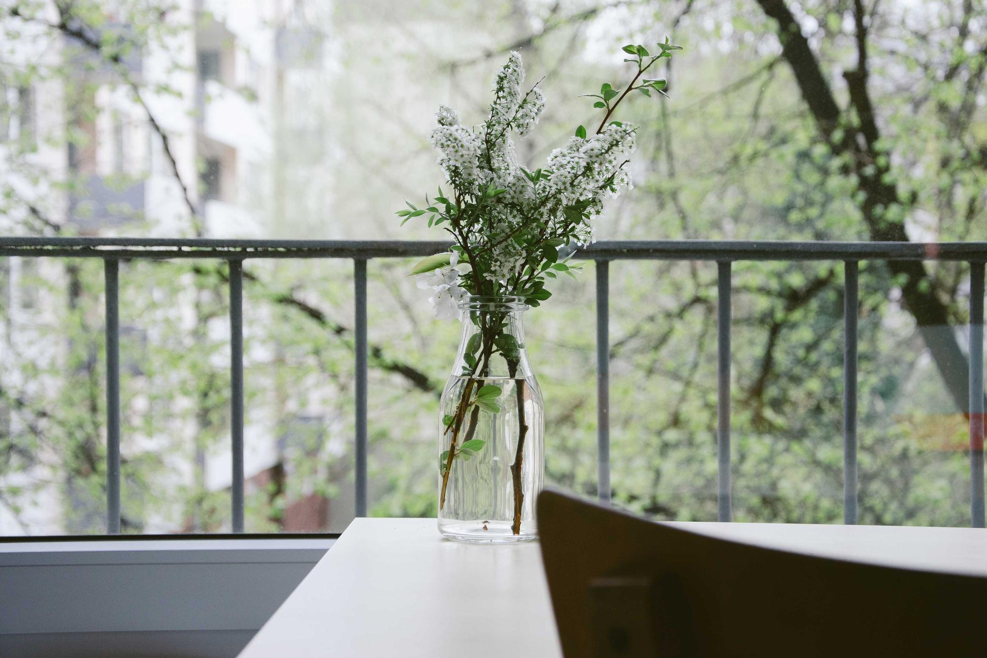 A small vase of green sprigs on a table on a balcony